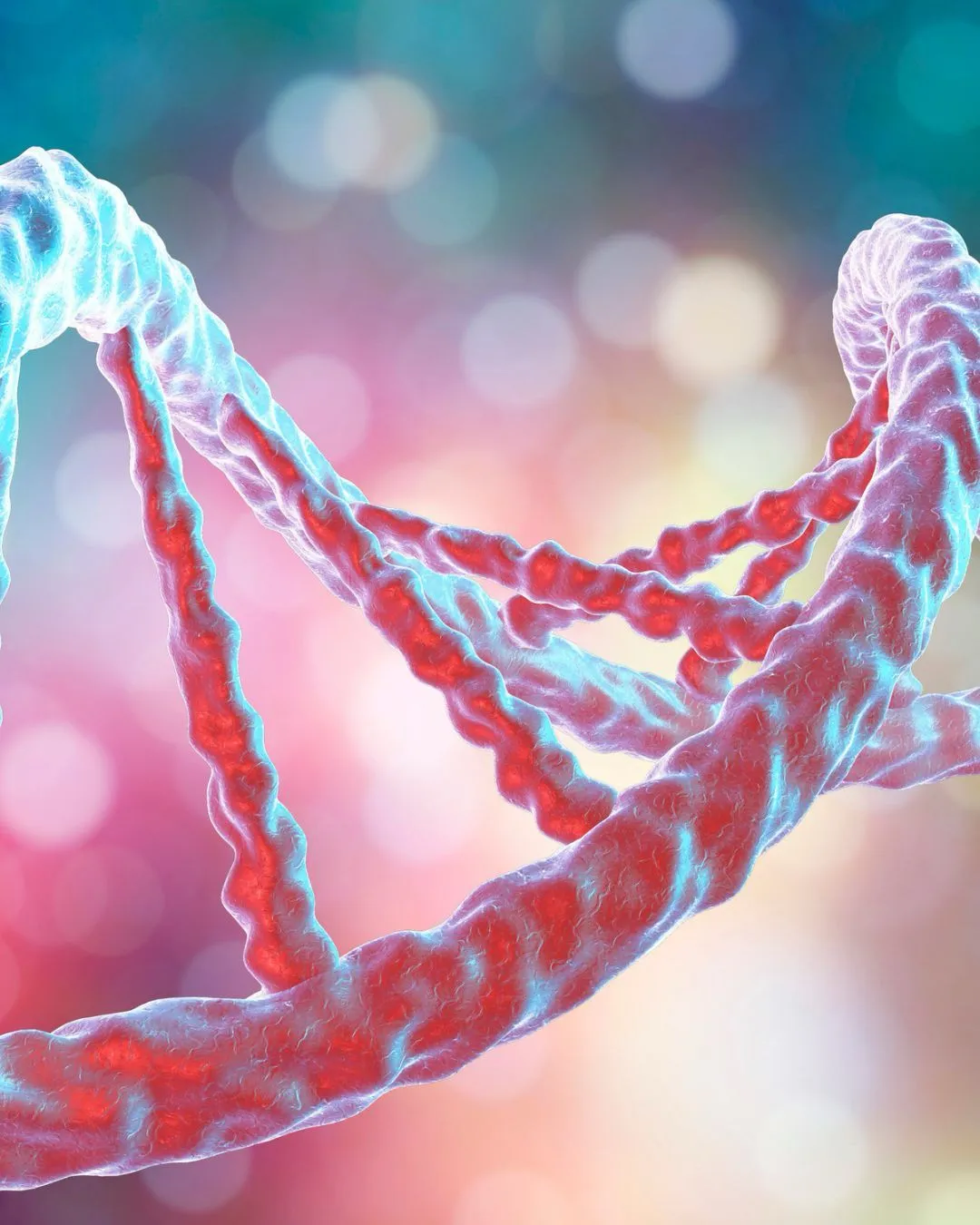 IHHT, Höhentraining, Regeneration, element 4, alpha cooling, ASEA, Hypoxietraining 